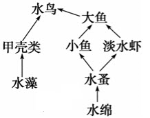 如图是处于平衡状态的简单淡水生态系统的一部分，请回答：		（1）此生态系统中共有__________