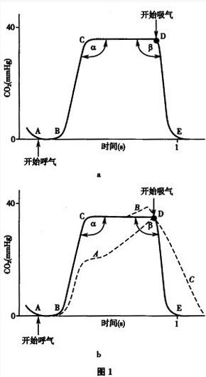 如图所示，a图为正常PetCO2波形，b图中虚线A、B和C分别代表异常的Pet-CO2波形，下列哪项