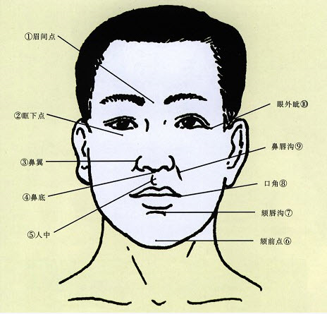 颌面部上下界范围是指