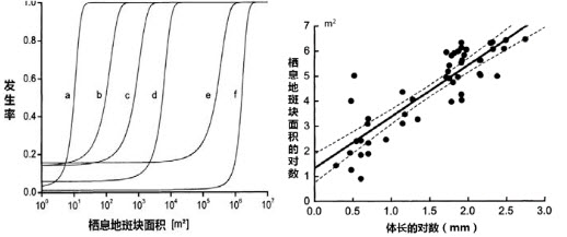 种群生态学家们通常都认可动物种群没有办法在面积过小的栖息地斑块中长期存活，为了验证这个观点，Bied