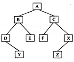 对下列二叉树进行前序遍历的结果为
