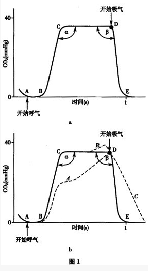 如图所示，a图为正常PetCO2波形，b图中虚线A、B和C分别代表异常的Pet-CO波形，下列哪项描