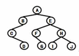 图中所示的二叉树是由某森林转换而来的，那么原森林中，共有_____棵树。     