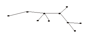 对于下图所示的网络图，β指数等于（）。 
