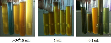 五管法测定某水体中的总大肠菌群的结果如图所示，三组阳性管分别是4，3，1。请问该水体中总大肠菌群数为