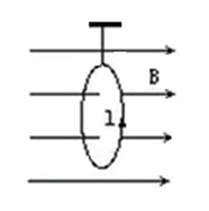 如图所示，用绝缘丝线悬挂着的环形导体，位于与其所在平面垂直且向右的匀强磁场中，若环形导体通有如图所示