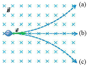 如图，均匀磁场垂直纸面向里，一个带负电的粒子在纸面内运动，图中（a)、（b)和（c)三个路径，表示粒