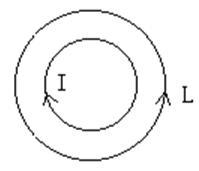 如图所示，回路 L 和电流 I 同心共面，则磁感应强度沿 L 的环流为 