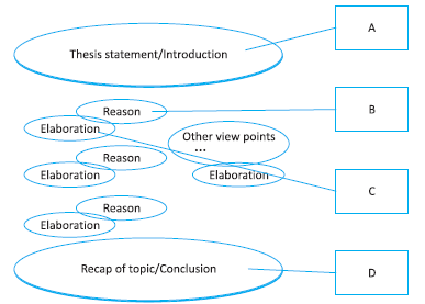 An argumentative paragraph can be compared to a ha