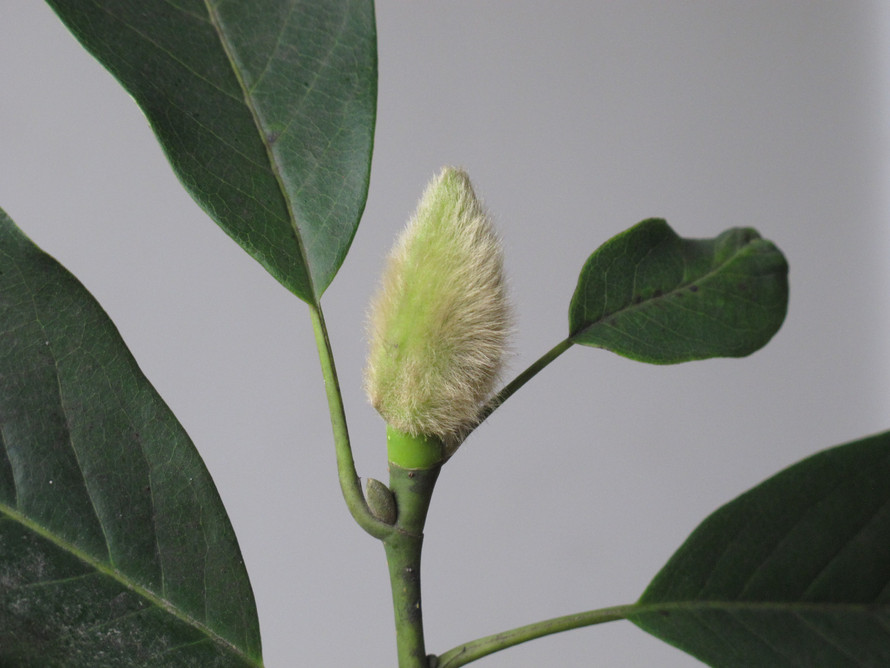 better - 上学吧找答案