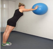 下图的动作主要练习的是（)。下图的动作主要练习的是()。A.平衡能力B.上肢肌肉力量C.核心肌肉力量