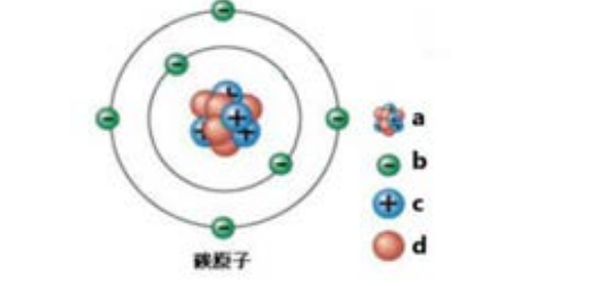 下面碳原子结构示意图中，代表中子的是()。