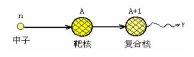 中子入射到靶原子核上，被靶核俘获，形成一个新核(复合核)，过程如下图所示。以下说法正确的是()。