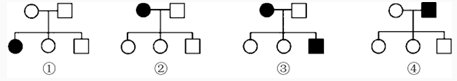 下列为四种遗传病的系谱图，能够排除伴性遗传的是（）