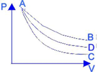 下图为某气体的p－V 图。图中A→B为恒温可逆变化，A→C为绝热可逆变化，A→D为多方不可逆变化。B