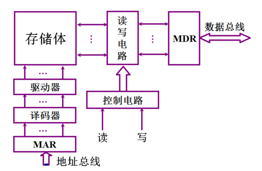 主存的实际结构如图4.4所示，根据MAR中的地址访问某个存储单元时，需经过地址译码、驱动等电路，才能