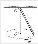 如图所示，一直杆上端由光滑铰链固定，杆可绕其上端在任意角度的锥面上绕竖直轴作匀角速度转动。 铰链对直