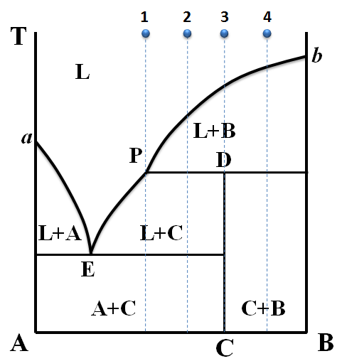 根据相图回答下列问题： （1）判断化合物c的性质；（10分） （2）写出无变量点e、p的性质及其平衡