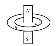 如图所示，一条形磁铁穿过两个同心放置的共面金属圆环a和b的圆心且与环面垂直，则穿过两环的磁通量、的大