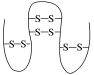 某蛋白质由124个氨基酸组成的单肽链盘曲折叠而成，其中有8个—SH，在肽链形成空间结构(如图)时，生