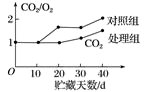 将刚采摘的新鲜蓝莓均分为两份，放在1 ℃的冷库内贮藏，其中一份用高浓度的co2处理48 h，另一份则