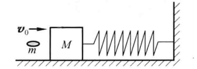 如图所示, 已知子弹的质量为 m=0.02 kg, 木块的质量为 m= 8.98 kg, 弹簧的弹性