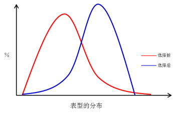 请问下列图示意的分别代表了哪种选择类型？（红线表示选择前，蓝色表示将很多代的的选择后，横坐标表示表型