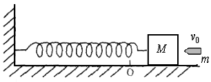 如图所示，光滑的水平地面上放置一质量为m=3.99kg的木块，一劲度系数为k=100n/m的弹簧一端