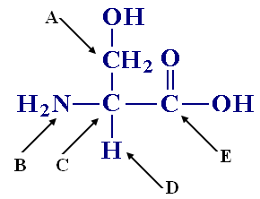 【多选题】consider the amino acid shown below. the conf