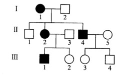 下列系谱图中的疾病是由于一种罕见的常染色体父本印记基因的表达所致。  那么个体I1、个体Ⅱ1和个体Ⅲ