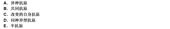 异嗜性抗原的本质是（）。