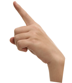 这个手语可以表示为“你”，也可以表示为 。 