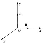 如图所示，空间某处有互相垂直的两个磁场B1和B2。在直角坐标系中B1沿Y轴，数值为1．73×10－4