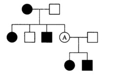 下图所示为一个带有常染色体显性遗传的家谱。这种显性性状有什么特点？个体A的基因型如何？ 请帮忙给出正