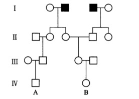 图中所示的是一个罕见的常染色体隐性遗传疾病——苯丙酮尿症（PKU)的系谱图： （1)尽可能图中所示的