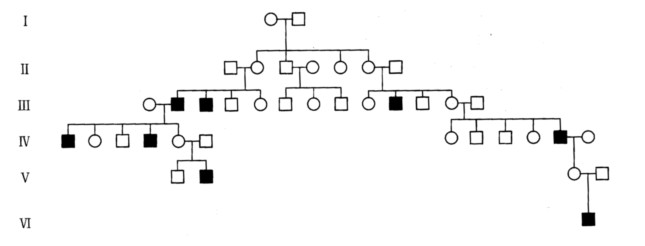 下面的家谱显示一种罕见的人类疾病，黑色个体表示患病。下列哪种解释更为合理？是由X连锁的隐性基因引起的