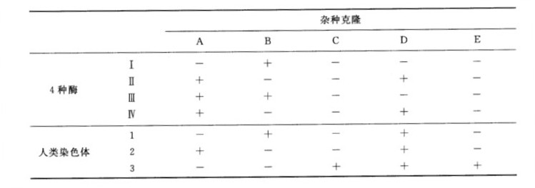 用体细胞杂交技术研究杂种克隆中染色体与人类上题中4种酶的关系，得到下列结果。说明这3条染色体上的基因