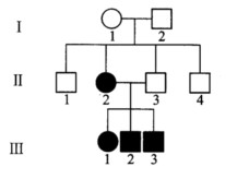 下列系谱中，第一个表现出线粒体病MERFF症状的是Ⅱ2。 （1)作为母亲的Ⅰ1无症状，而女下列系谱中