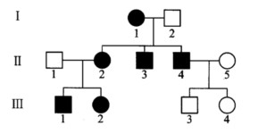 分析下列系谱，回答以下问题： （1)该系谱是否为线粒体遗传，为什么？ （2)该系谱还能适分析下列系谱