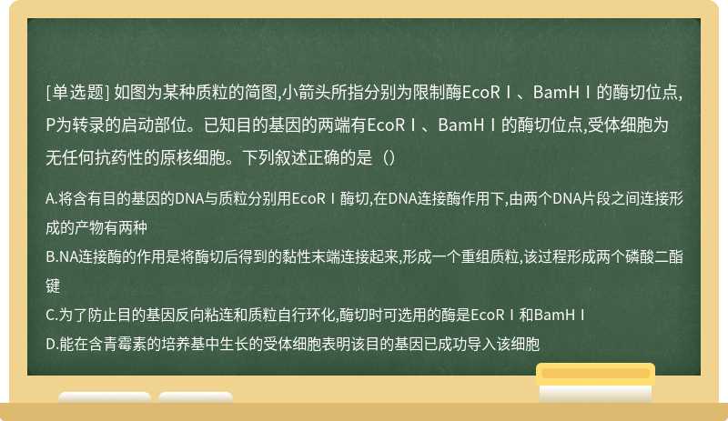 如图为某种质粒的简图,小箭头所指分别为限制酶EcoRⅠ、BamHⅠ的酶切位点,P为转录的启动部位。已知目的基因的两端有EcoRⅠ、BamHⅠ的酶切位点,受体细胞为无任何抗药性的原核细胞。下列叙述正确的是（）