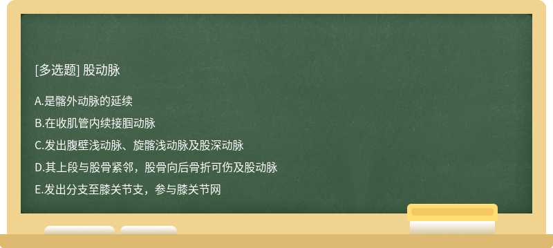 股动脉A．是髂外动脉的延续B．在收肌管内续接腘动脉C．发出腹壁浅动脉、旋髂浅动脉及股深动脉D．其上