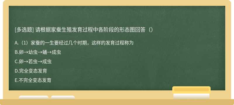 请根据家蚕生殖发育过程中各阶段的形态图回答（）