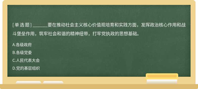 ______要在推动社会主义核心价值观培育和实践方面，发挥政治核心作用和战斗堡垒作用，筑牢社会和