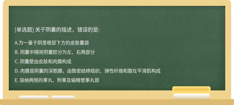 关于阴囊的描述，错误的是:A. 为一垂于阴茎根部下方的皮肤囊袋B. 阴囊中隔将阴囊腔分为左、右