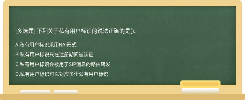 下列关于私有用户标识的说法正确的是（)。A.私有用户标识采用NAI形式B.私有用户标识只在注册期间被