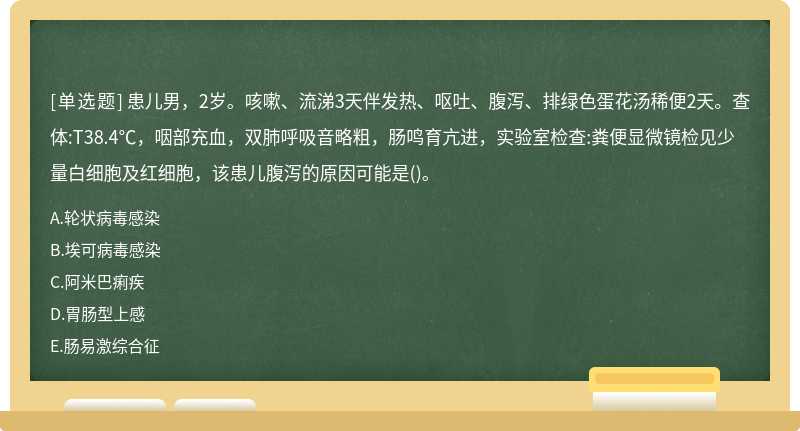 患儿男，2岁。咳嗽、流涕3天伴发热、呕吐、腹泻、排绿色蛋花汤稀便2天。查体:T38.4℃，咽部充血，双肺呼吸音略粗，肠鸣育亢进，实验室检查:粪便显微镜检见少量白细胞及红细胞，该患儿腹泻的原因可能是()。