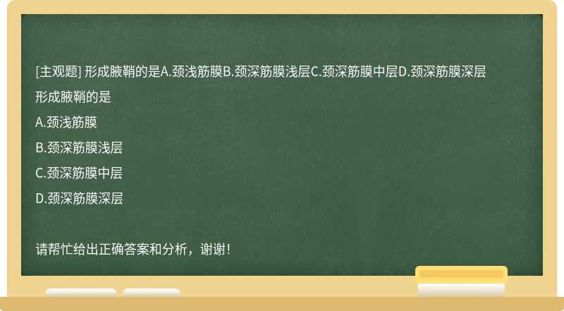 形成腋鞘的是A.颈浅筋膜B.颈深筋膜浅层C.颈深筋膜中层D.颈深筋膜深层