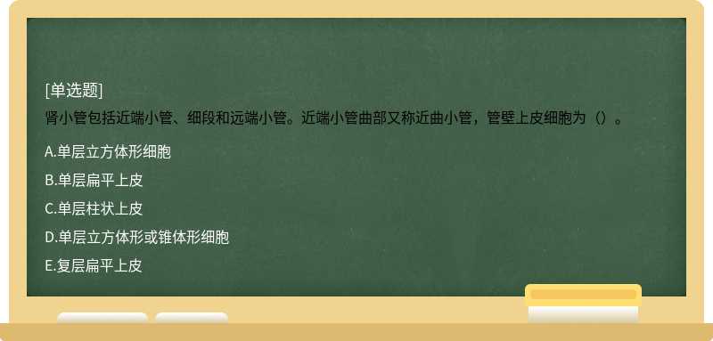 肾小管包括近端小管、细段和远端小管。近端小管曲部又称近曲小管，管壁上皮细胞为（）。