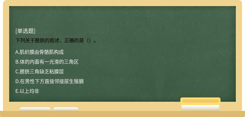 下列关于膀胱的叙述，正确的是（）。