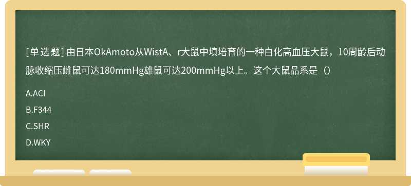 由日本OkAmoto从WistA、r大鼠中填培育的一种白化高血压大鼠，10周龄后动脉收缩压雌鼠可达180mmHg雄鼠可达200mmHg以上。这个大鼠品系是（）